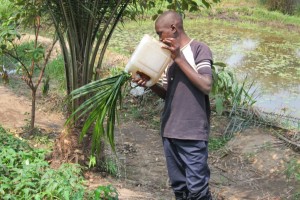 African watering can
