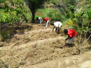Orphaned boys learning agriculture