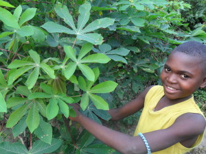 Fumusantu picking manioc leaves