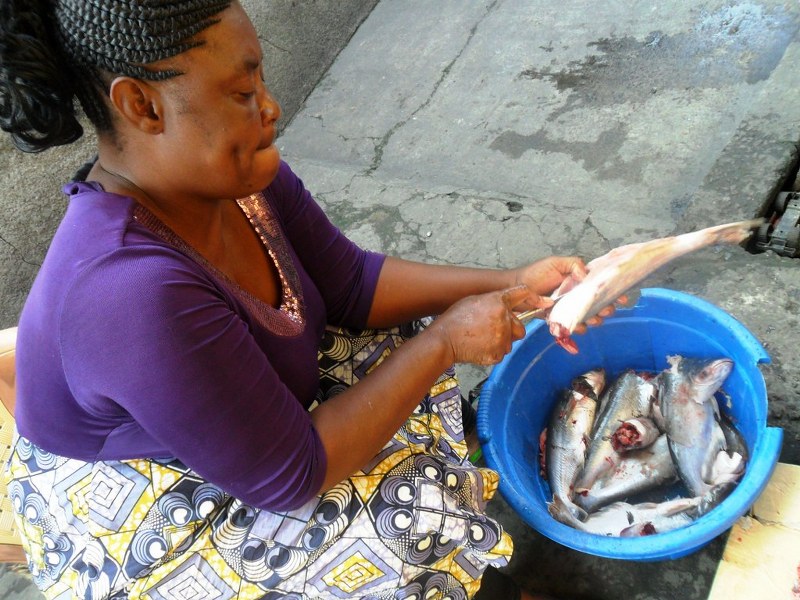 Florence prepares donated fish