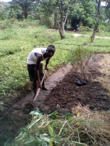 Fabricius rebuilding his field after the floods