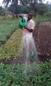 Fabrice watering his field